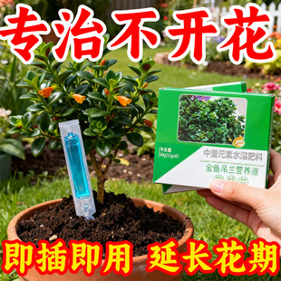 金边吊兰专用营养液花肥水培金鱼吊兰专用肥料黄叶焦尖液体水溶肥