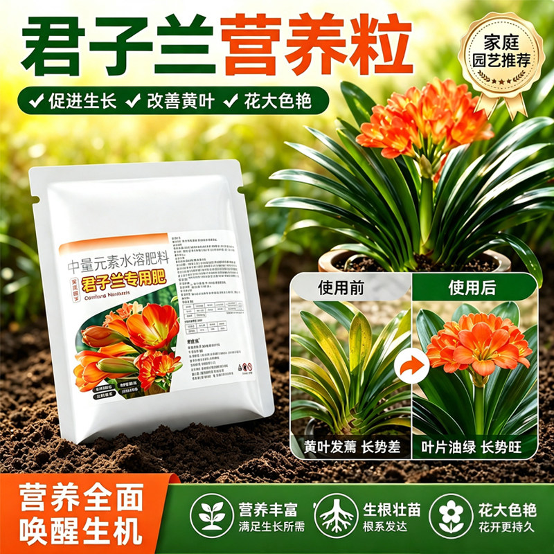 君子兰专用颗粒缓释促花肥