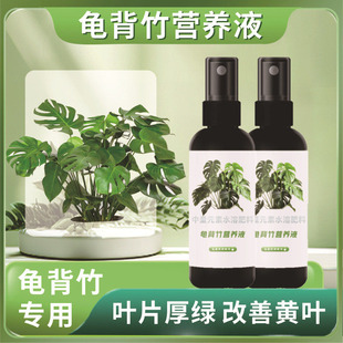 龟背竹营养液免稀释喷施叶面肥水培龟背竹专用肥锈斑病黄叶液体肥