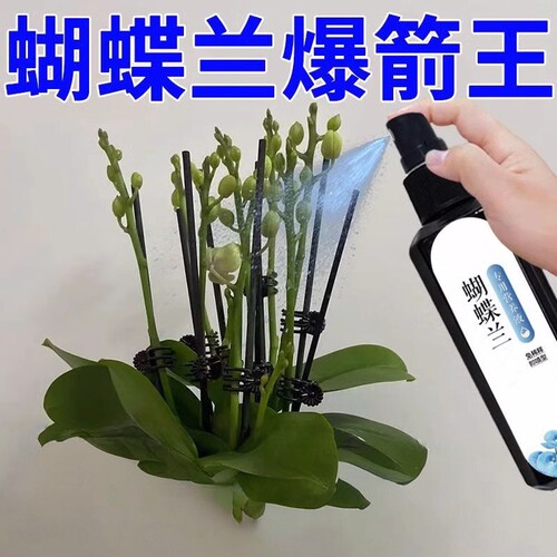 蝴蝶兰爆箭王植物营养液促花剑开花防黄叶兰花专用肥通用有机肥
