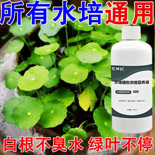 水培植物营养液通用型家用养花卉绿萝水培绿植盆栽发财树液体肥料