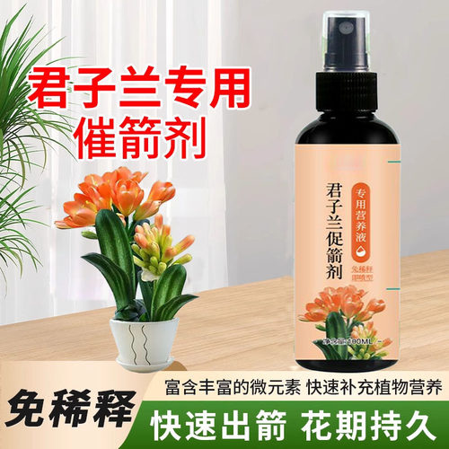君子兰促箭剂【免稀释】防止君子兰夹箭 促花治黄叶不对称营养液