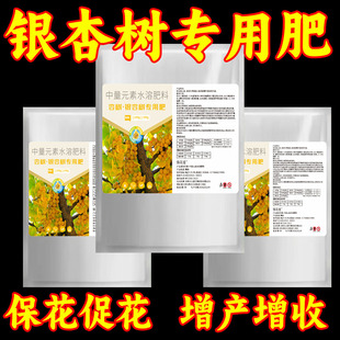 银杏树专用肥料大型银杏树木营养液吊针袋黄叶子发黄枯叶焦怎么办