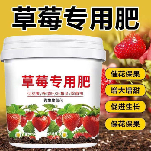 草莓专用有机肥坐果期促果增大