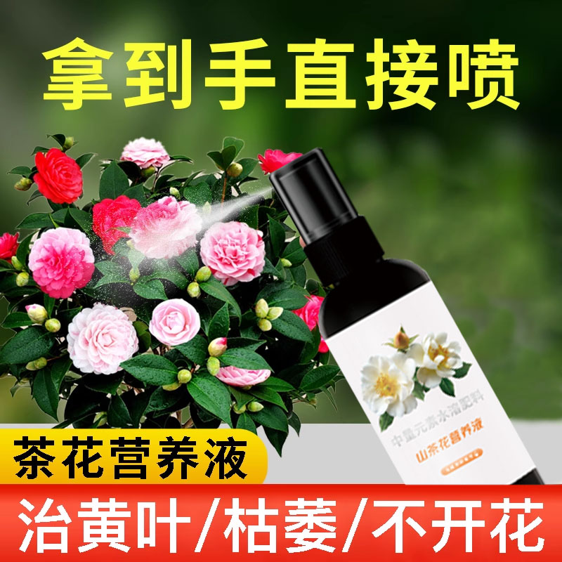 山茶花专用肥催花促花营养液