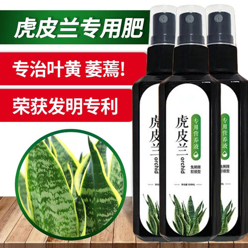 虎皮兰营养液【直接喷】烂根黄叶不开花虎皮兰爆新芽壮根促生长剂