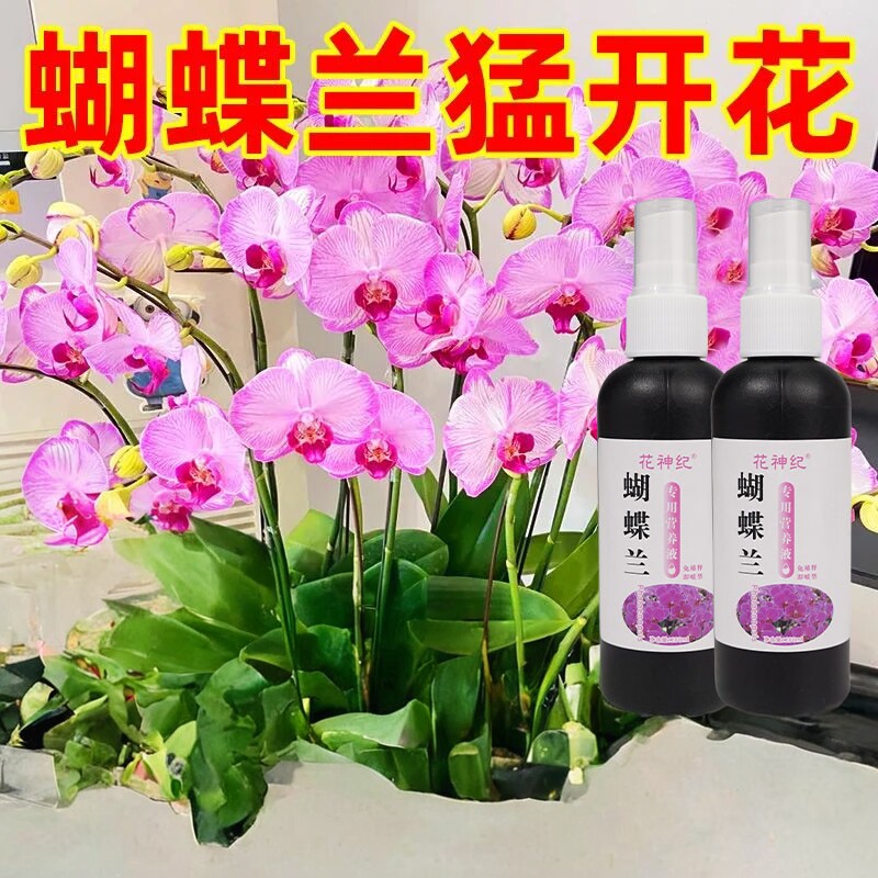 蝴蝶兰营养液浓缩专用肥
