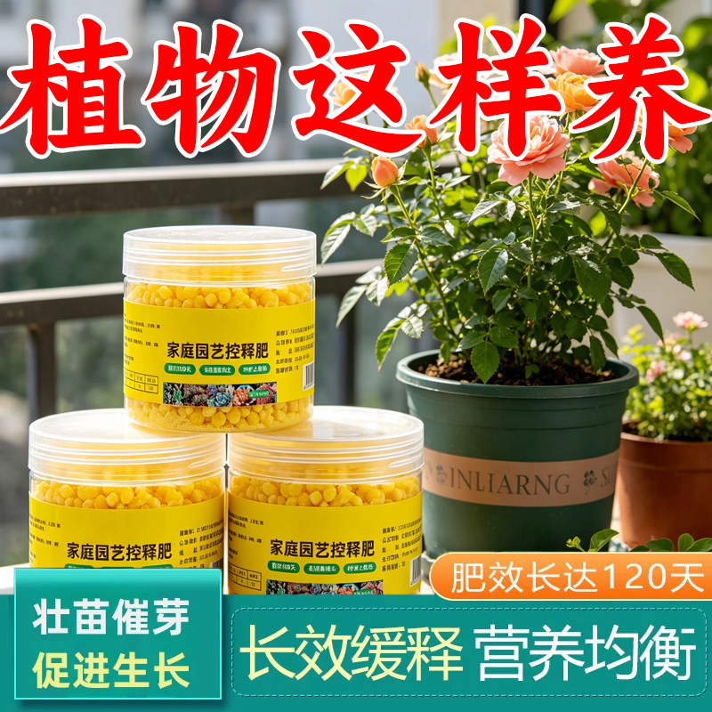 多肉专用有机控释爆盆营养液