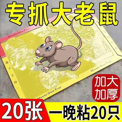 粘鼠板强力胶家用老鼠贴捕鼠超强沾老鼠神器粘大老鼠板厨房用