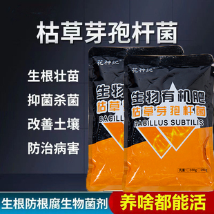 枯草芽孢杆菌活化土壤生根壮苗菌剂以菌克菌治烂治死棵治黄萎病