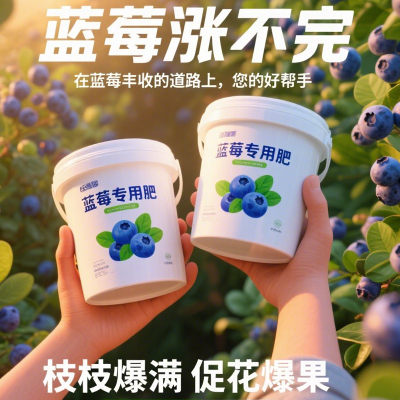 蓝莓专用肥料硫酸钾复合肥蓝莓树