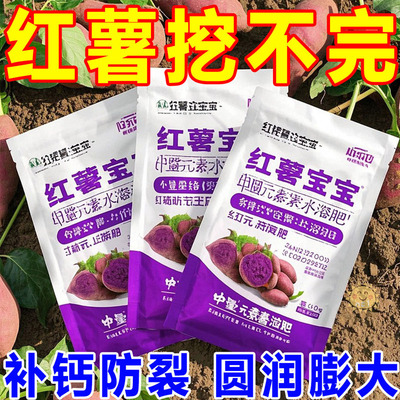 红薯宝宝番薯宝宝正品进口