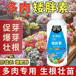 多肉矮胖素增色促进生长肥料多肉专用营养液肥爆芽分裂叶面肥通用