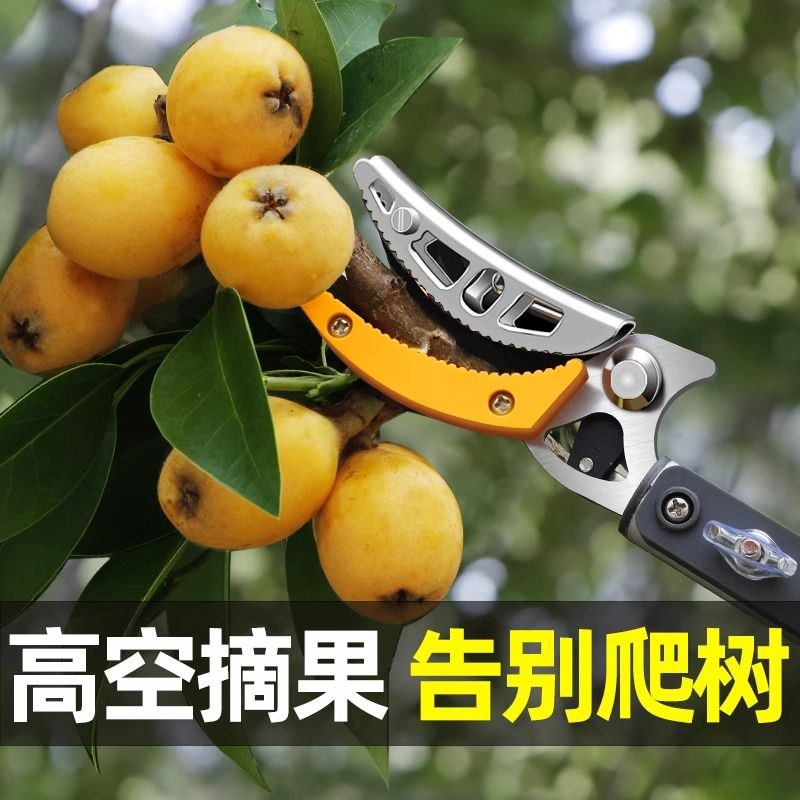 高枝剪不锈钢伸缩摘果剪采摘器高空摘果神器锯树枝剪荔枝枇杷龙眼图片