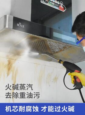 鑫孟工高温高压蒸汽清洁机厨房家电水管J清洗一体机地暖清洗机脉