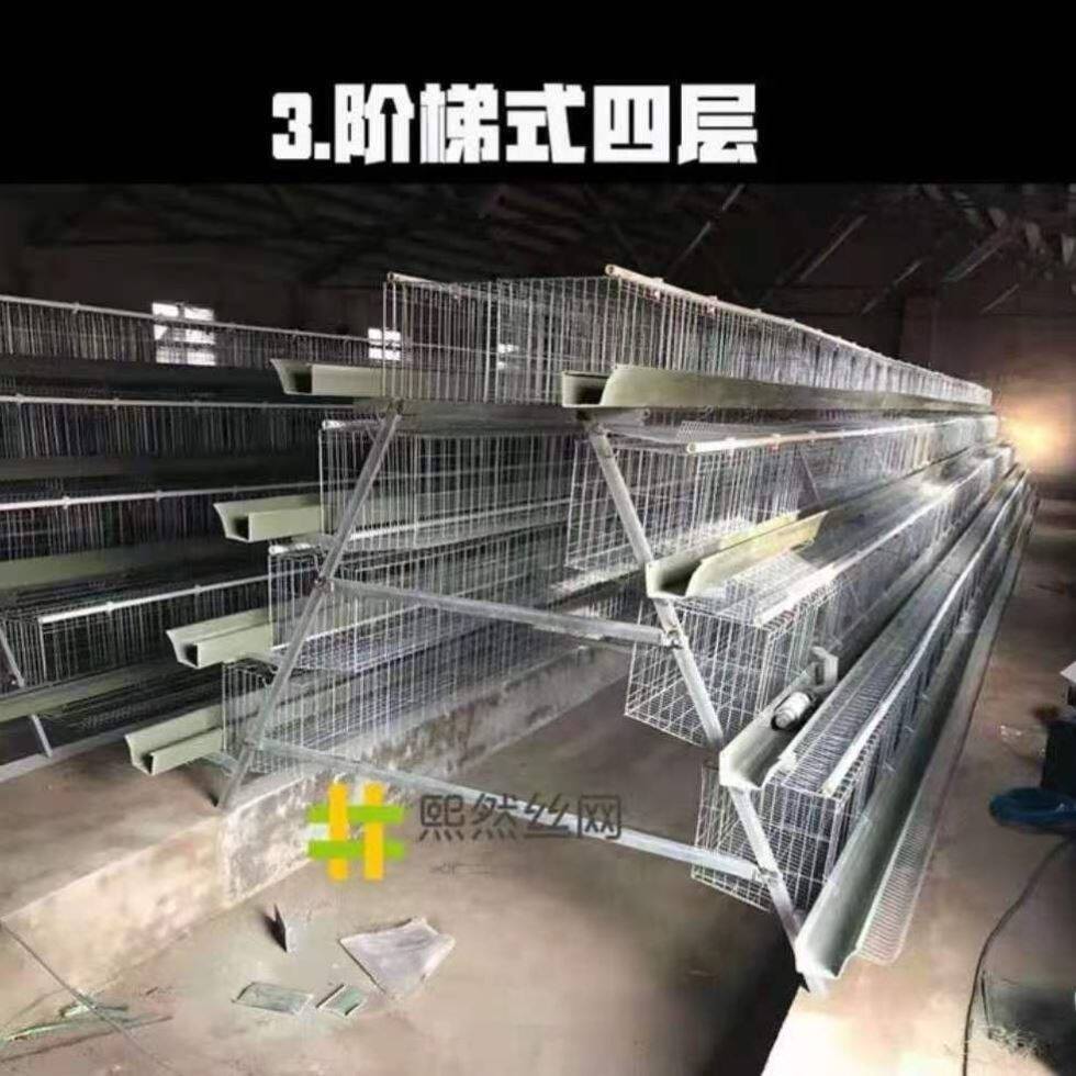式蛋多层鸡棚热镀锌铁丝蛋鸡笼养鸡设备下蛋大型养蛋加工鸭蛋家禽
