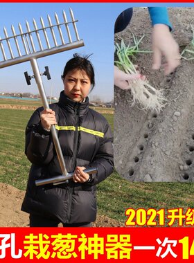 种葱神器栽葱机器栽苗器大葱叉子自动打孔工具洋葱种菜移栽移苗器
