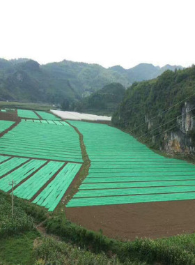 绿化无纺布绿色园林工地防尘盖土布护坡边坡草坪植草籽无纺布整卷