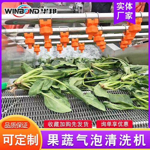 瓜果蔬菜气泡清洗机 气泡冲浪喷淋洗菜机 菠菜果蔬清洗机设备