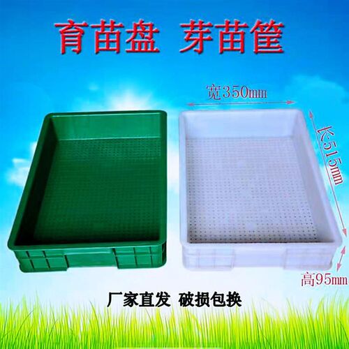 商用大号芽苗菜育苗盘豆芽筐x豆芽商业专用箱蔬菜大规模种植盘直