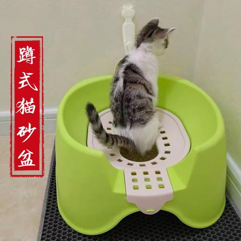 蹲式猫砂盆猫咪厕所马桶训练器冲水式防臭防溅大号便携屎尿盆幼猫