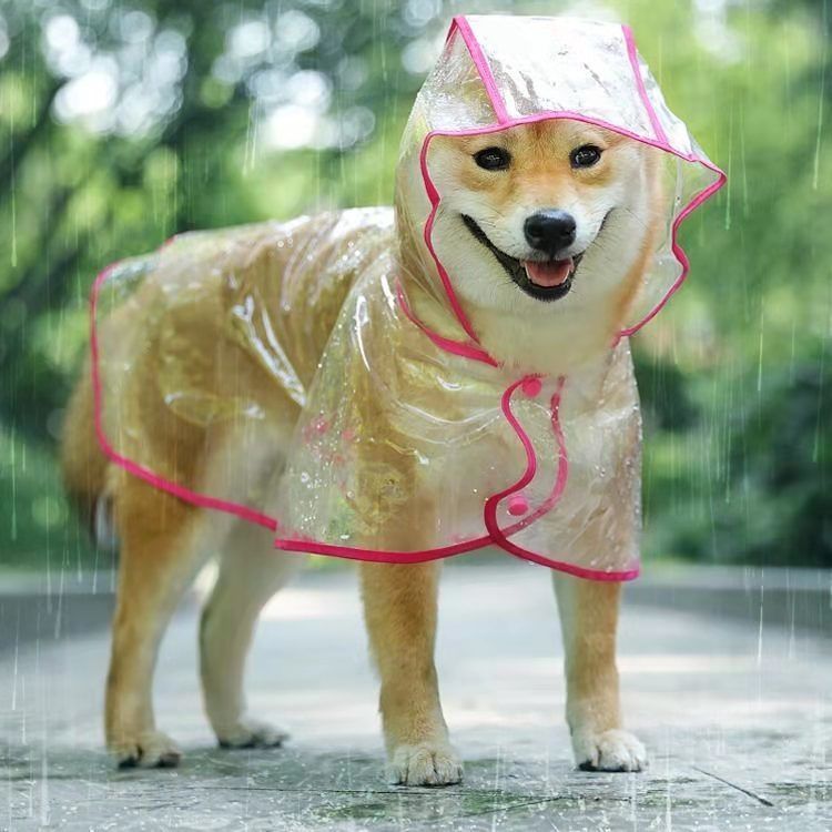 泰迪金毛萨摩耶比熊大小型犬猫咪防水透明雨披外出狗狗专用雨衣