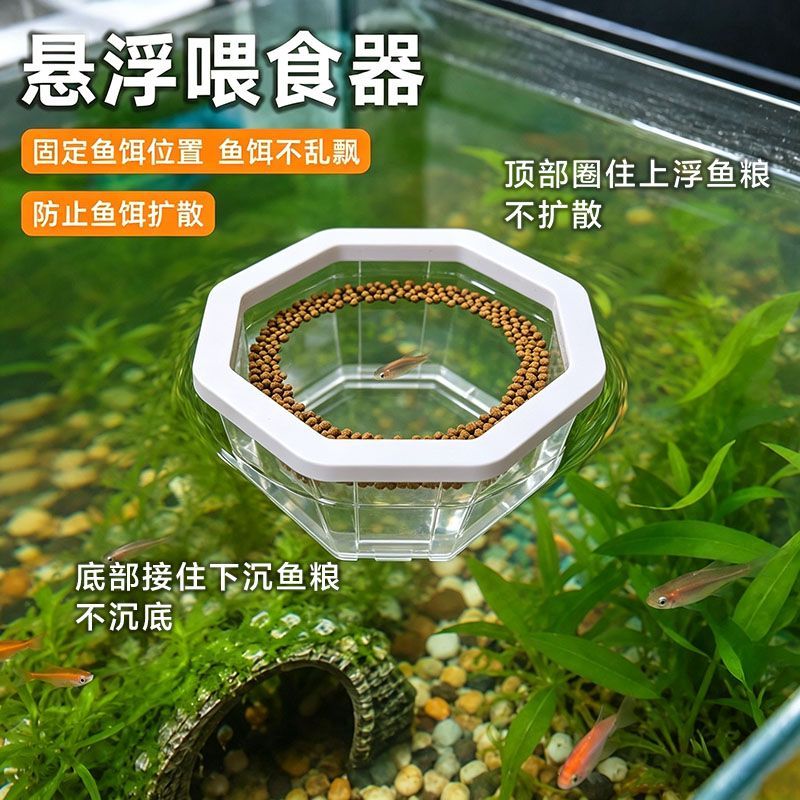 鱼缸喂食器防飘散防沉底小鱼鱼食投喂器喂鱼漂浮投食圈喂食圈鱼粮
