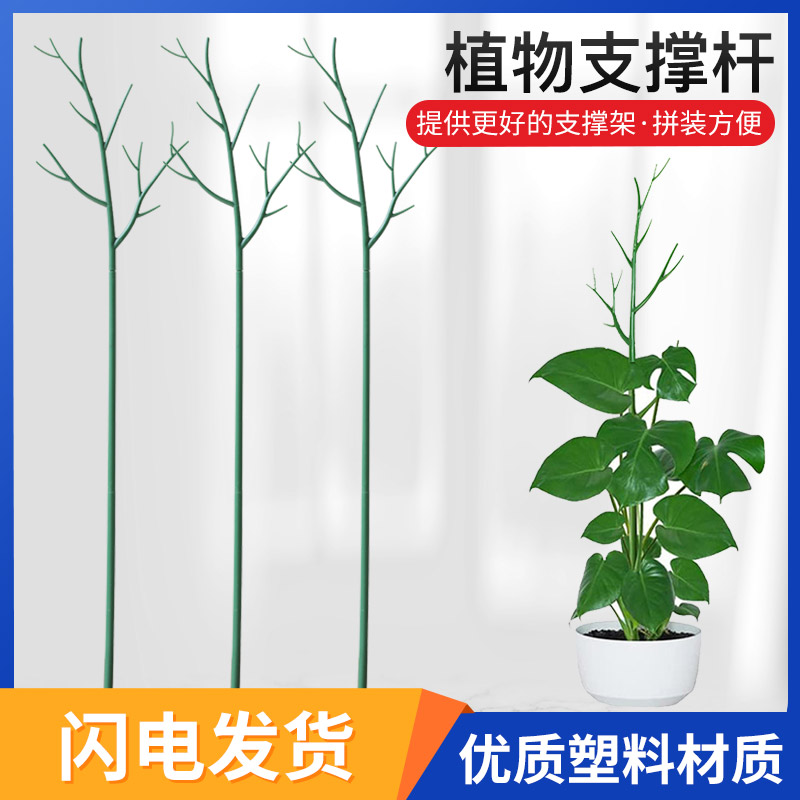 树枝型植物支撑杆防倒伏固定攀爬龟背竹支撑架爬藤园艺造型花支架