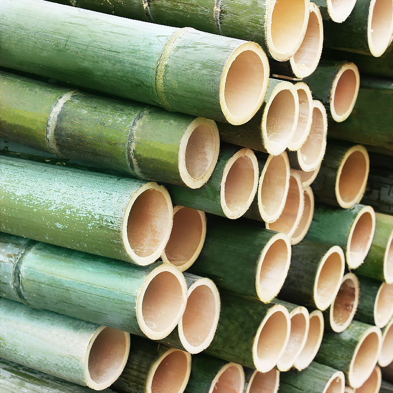 竹筒楠竹毛竹竹竿竹沥水竹编竹桶蒸饭幼儿园手工竹杆竹节大小竹子