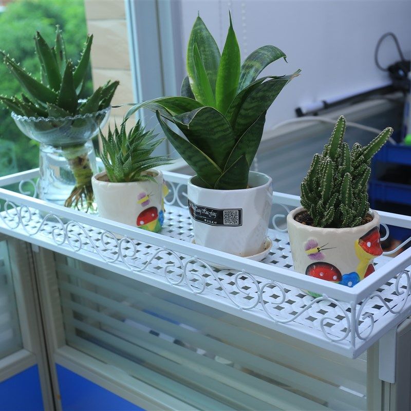 办公室铁艺置物架栏杆窗台收纳盆栽架办公桌面隔板多肉植物花架