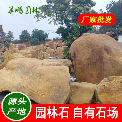 江苏园林景观河道护坡石头质地坚硬基地直发 黄蜡石驳岸石