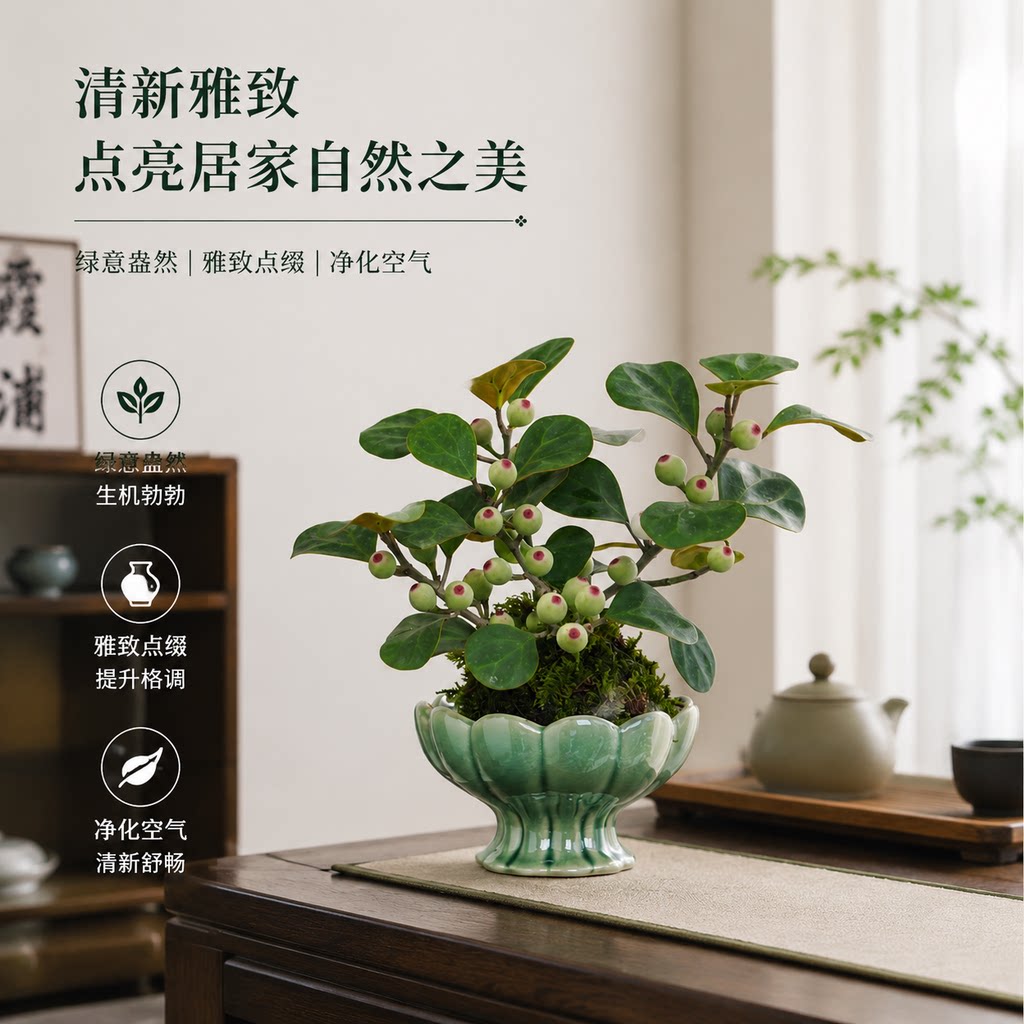 小盼菩提树盆栽办公室内桌面绿植好养活花卉情绪稳定禅意盆景植物