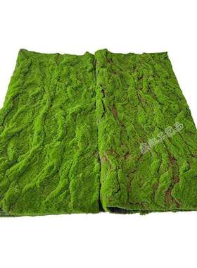 仿真青苔草皮绿色人造苔藓草坪绿植墙橱窗微景观地面墙面装饰造景