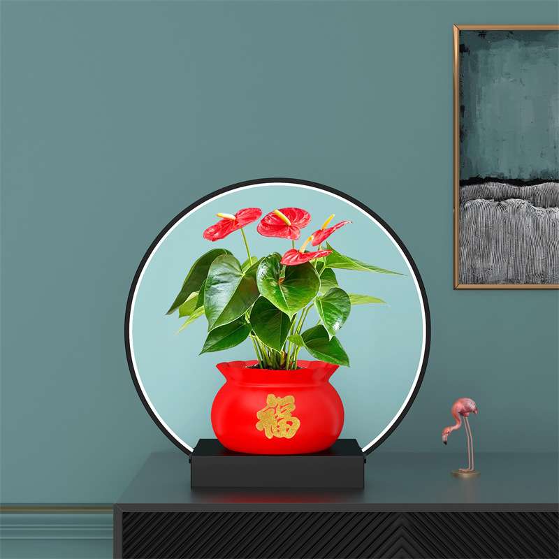 蝴蝶兰花盆配件招财猫家居装饰灯圈LED灯底座创意铁艺托架
