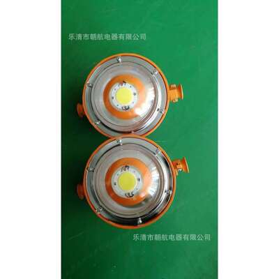 DGS20/127L(A)矿用隔爆型LED巷道灯