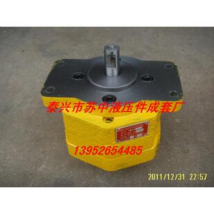 BB-B80100125-A直插式带耳朵摆线齿轮油泵摆线转子泵