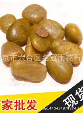 黄色天然鹅卵石南京一级雨花石抛光磨面铺路垫底工程景观地面石头