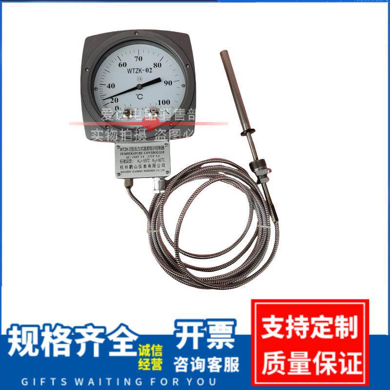 WTZK-02WTZK-03变压器温度显示器压力式温度指示控制器