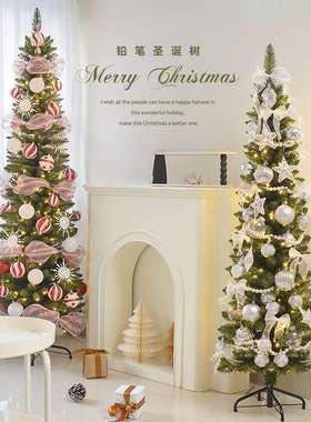 新款大型家用加密圣诞树发光绿色铅笔树套餐橱窗商场摆件场景装扮