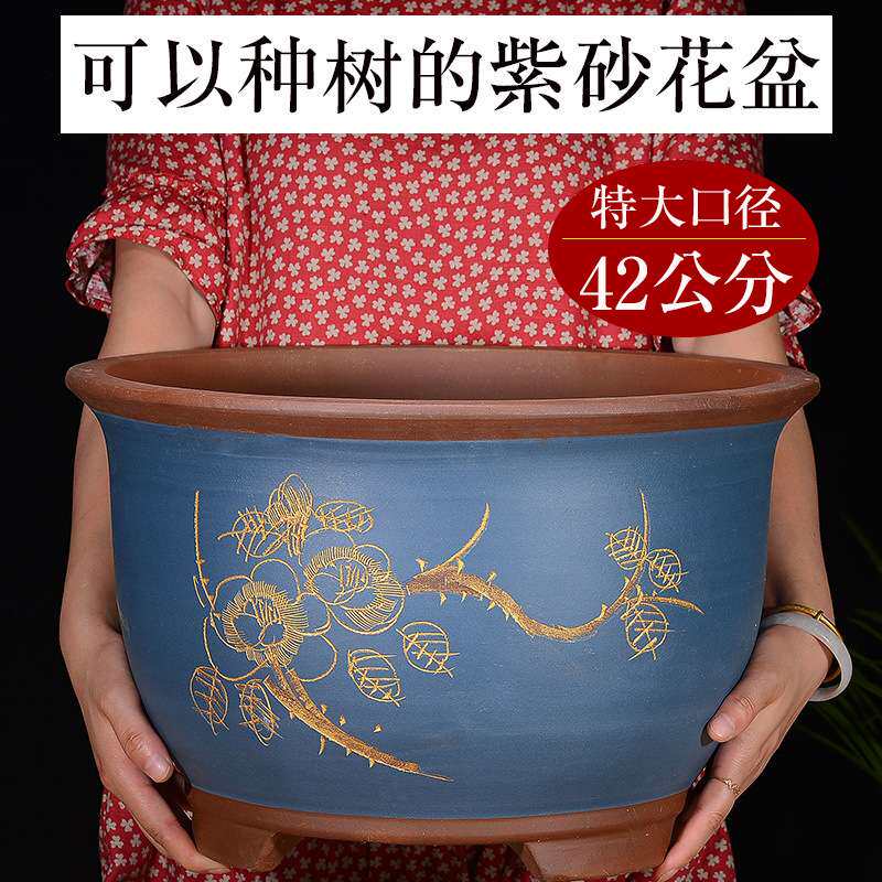 超大紫砂花盆大号 特大号 庭院盆景铁树花盆阳台种树盆栽陶瓷花盆