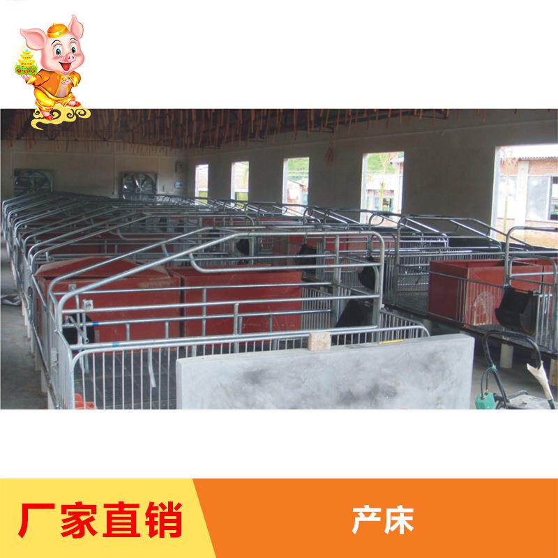 直销成套产床母猪产床母猪分娩高床专业提供养猪设备