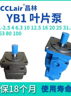 YB1-2.54油泵6.3叶片泵10121620253240YB1-506380100