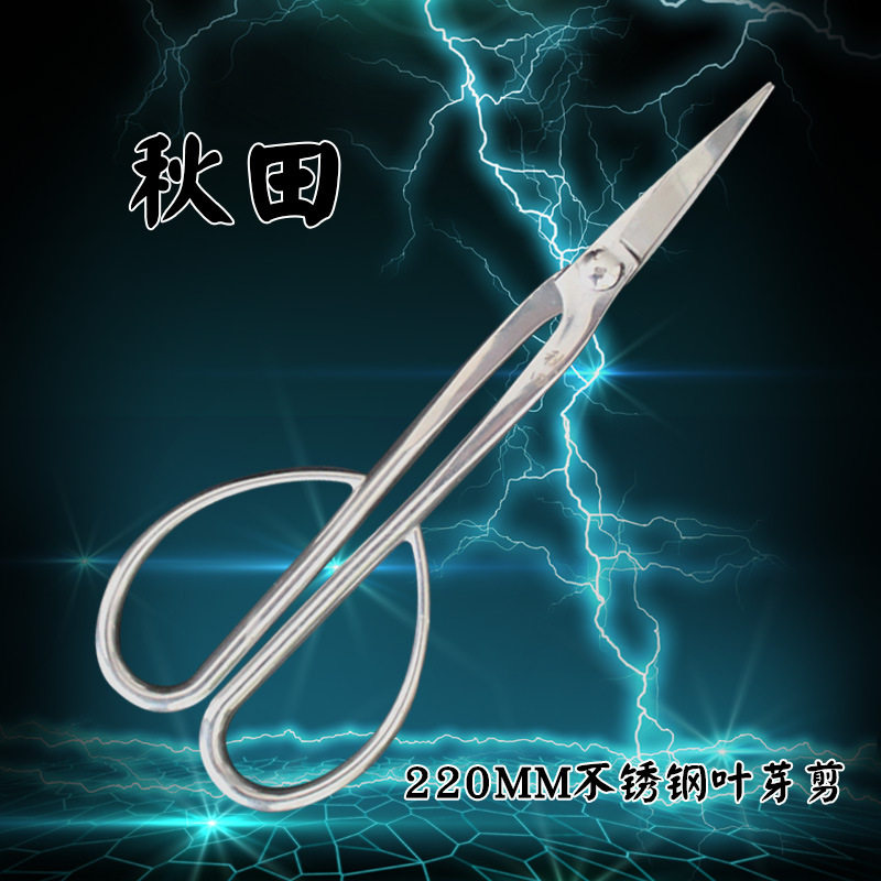 秋田不锈钢叶芽剪盆景造型工具兰花分苗昌蒲修剪松针整理手感舒适