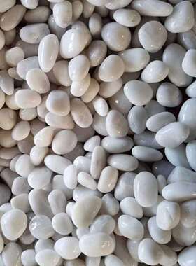 白色精抛光鹅卵石2-3Cm日式园林枯山水砾石庭院造景水洗石灰色