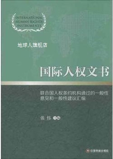 国际人权文书：联合国人权条约机构通过的一般性意见和一般性建议