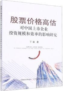 股票价格高估对中国上市企业投资规模和效率的影响研究,丁毅著,中