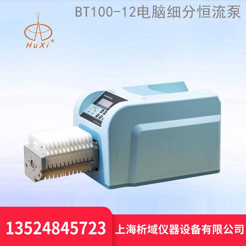 青浦沪西 BT100-12定时电脑细分恒流泵 定制