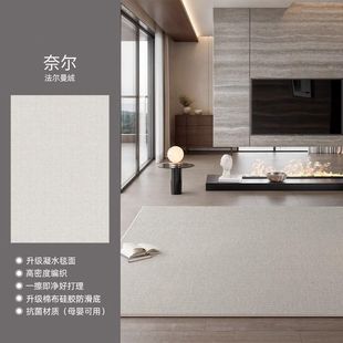 极简2024新款 分销地毯客厅意式 防水卧室免洗可擦轻奢高级家用地垫