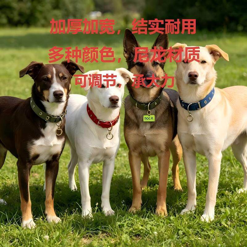 可调节狗狗脖圈防脱羊脖套颈圈拴狗项圈宠物狗脖子脖套