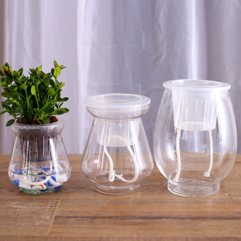 水培土培植物定植篮玻璃花瓶固定器花篮圆形栽培绿萝富贵竹固根器